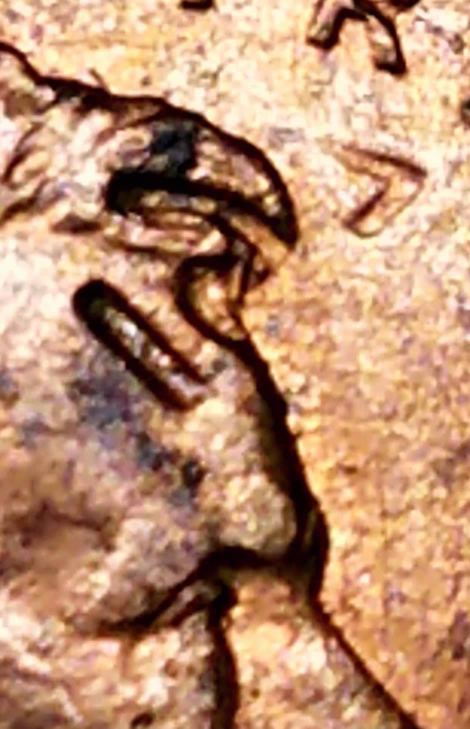 1996-P-Lincoln-Dropped-Letters-And-Numbers-On-Obverse-And-Reverse?